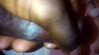 Featured here is Crossdressing Shemale's first tribute to Anissa Arab