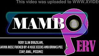 wow, slim brazilian karina rose takes 4 huge cocks! 😳